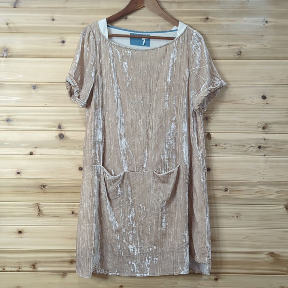 Anthropologie Dress Womens Small Cream‎ Floreat Crinkle Crushed Velvet Mini